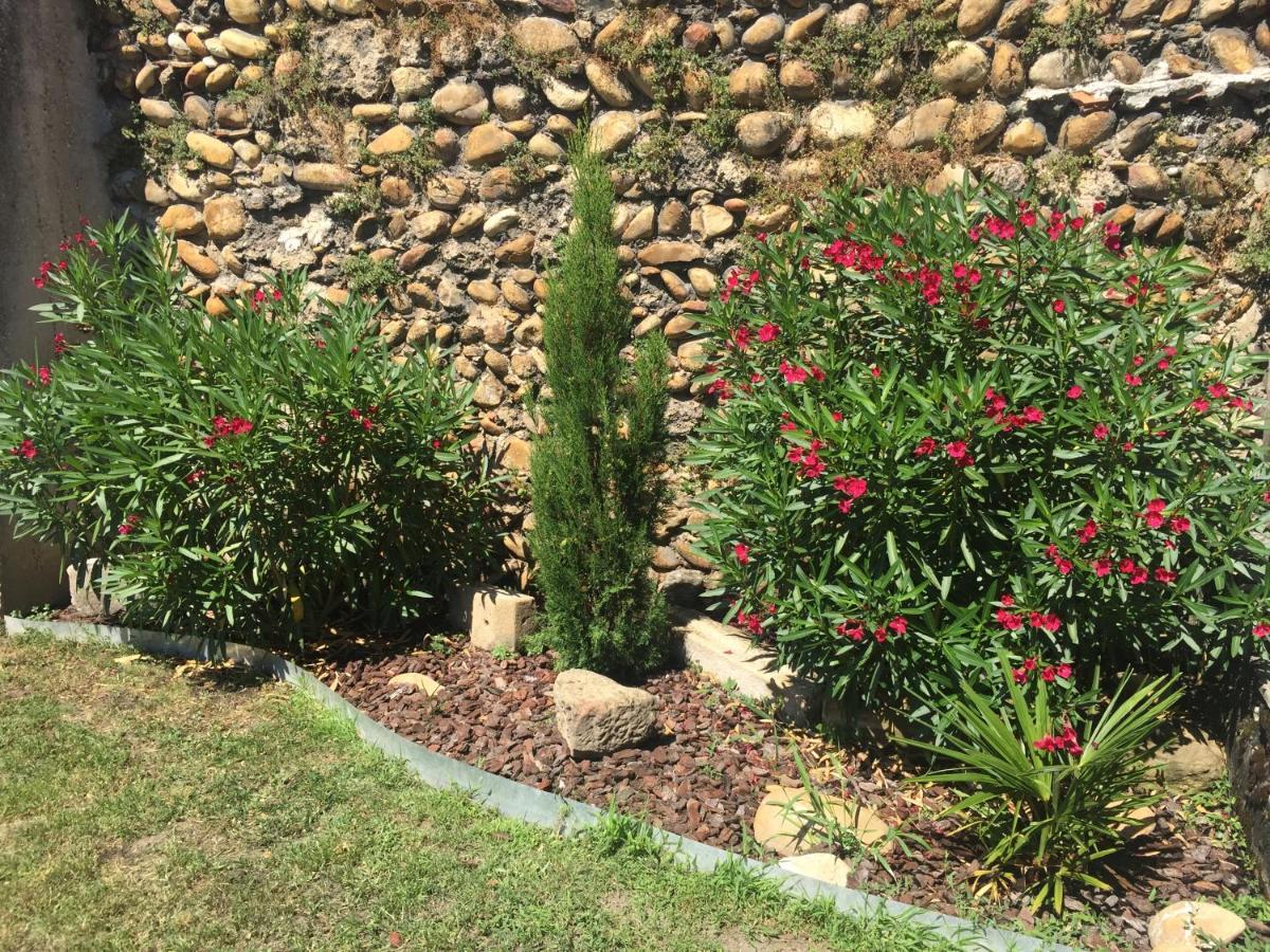 Le Charles IX Appartement Roussillon  Buitenkant foto